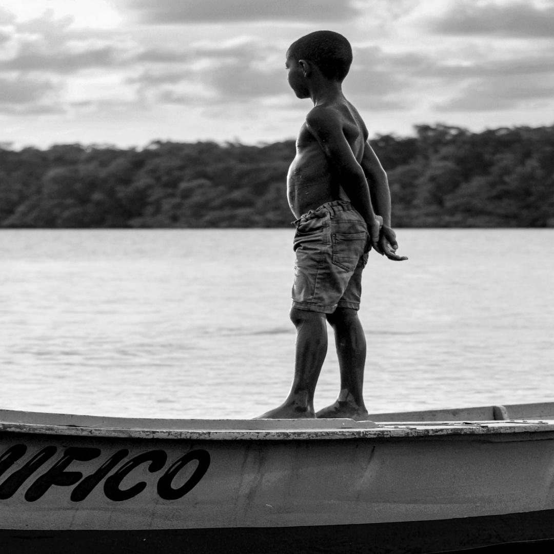 Imagen de Sergio Serjão en Pixabay